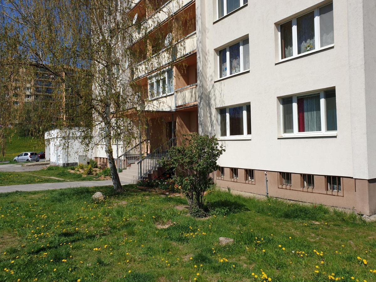 Apartman Bystrica City & Parking バンスカー・ビストリツァ エクステリア 写真